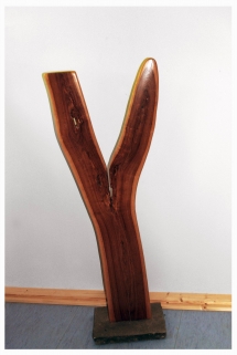 "Ypsilon Chromosom" Holzobjekt Natürliche Form - Holzskulpturen Holzobjekte Holzfiguren Holzdesign - Hans-Ulrich Wartenweiler Natürliche Formen