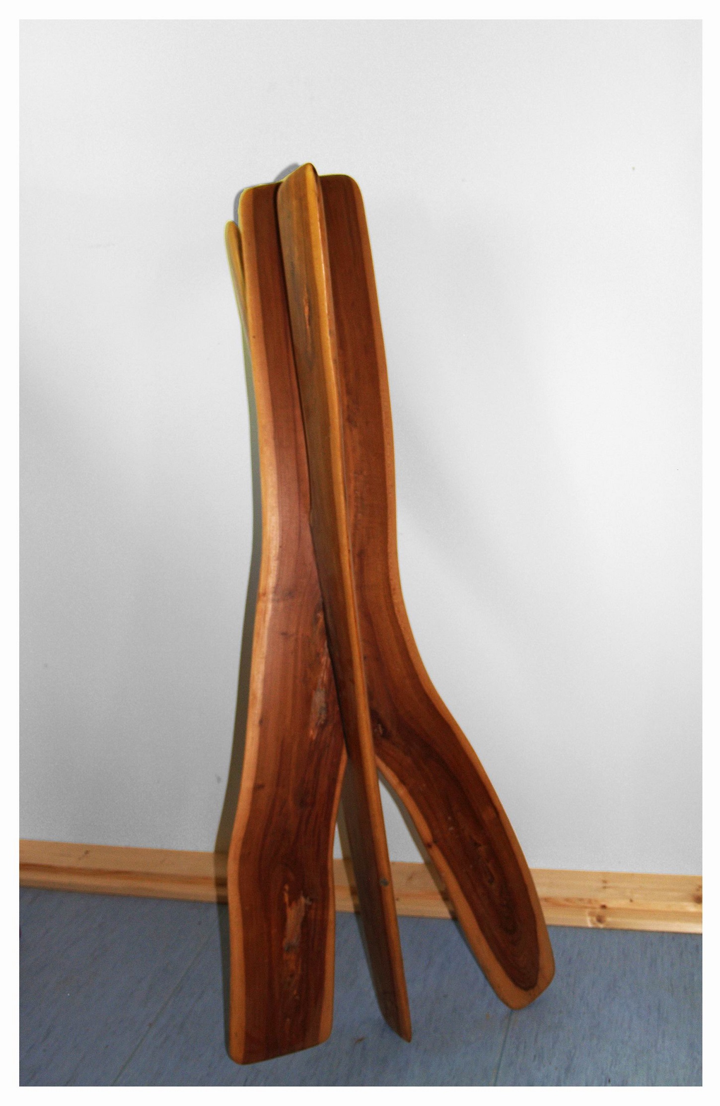 "XY Chromosom 2" Holzobjekt Natürliche Form - Holzskulpturen Holzobjekte Holzfiguren Holzdesign - Hans-Ulrich Wartenweiler Natürliche Formen